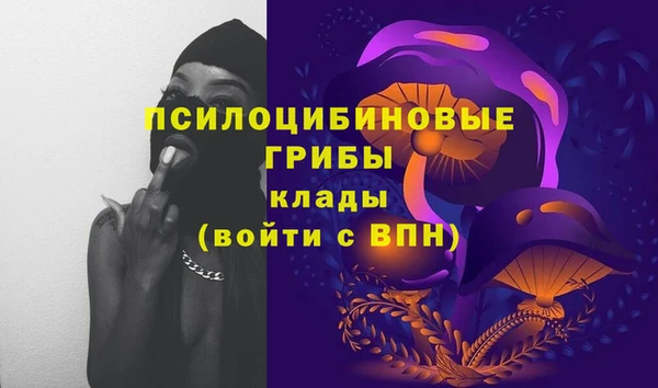 соль курить ск Богородск