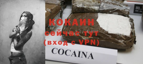дмт Сосновоборск